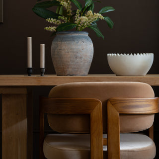 Curved Walnut Dining Chair -  Velvet